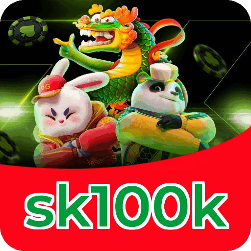 Interface sk100k